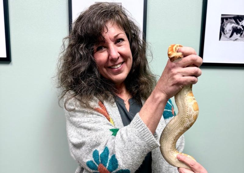 Carousel Slide 5: Reptile vet